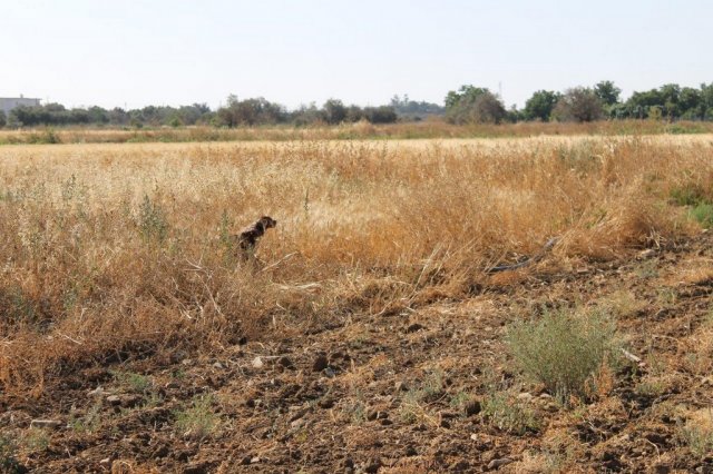 Αγωνες Α.Κ.Ι 11/6/2017